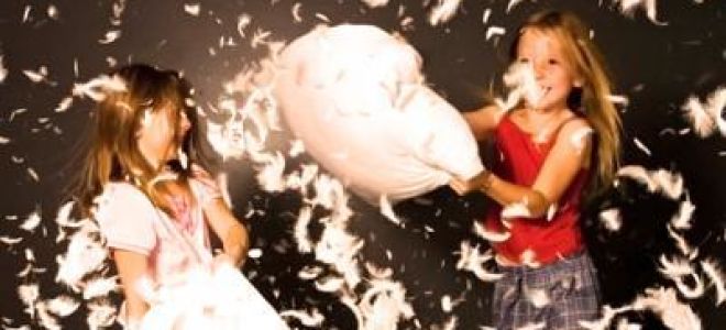 Перьевые подушки: чем вредны и чем полезны