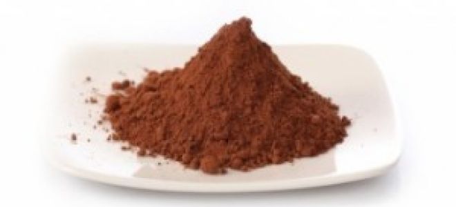 Кэроб — польза и вред для организма