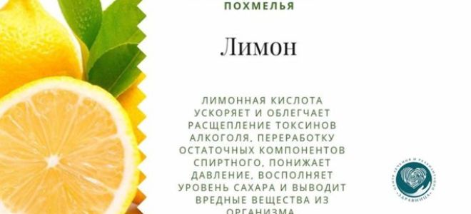 Алкоголь не дает выздоравливать