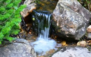 Польза и вред родниковой воды