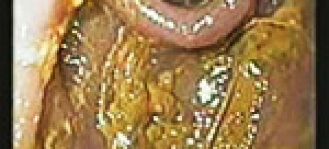 Рыба или мясо — что полезнее для здоровья?