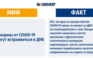 Крымские ученые разработают еще одну вакцину против COVID-19