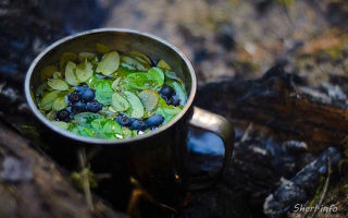 Чай из листьев черники — польза и вред