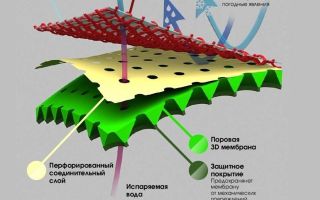 Одежда для спорта: зимние правила