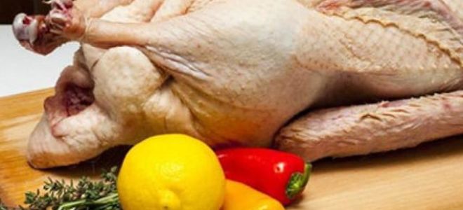 Гусиное мясо: польза и вред