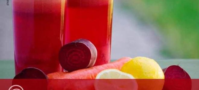 Свекла и свекольный сок: польза и чем вредно