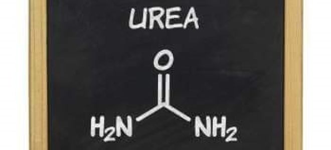Мочевина в косметике — чем полезна и чем вредна