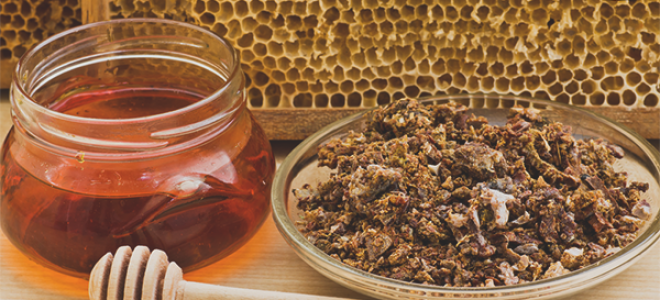 Польза и возможный вред прополиса