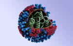 Новые виды гриппа могут стать причинами эпидемии