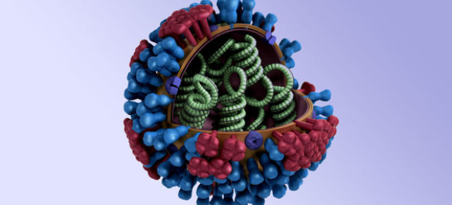 Новые виды гриппа могут стать причинами эпидемии