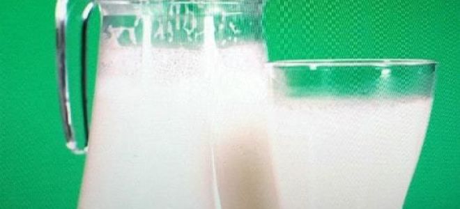 Светлана Шевелева: полезное сырое молоко — это миф