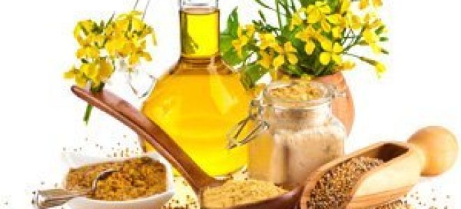 Польза и вред горчичного масла для организма