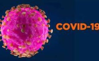 Комары и коронавирус: насекомые, скорее всего, не могут заразить человека COVID-19