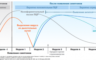 У мужчин уровень антител к SARS-Cov-2 снижается быстрее, чем у женщин