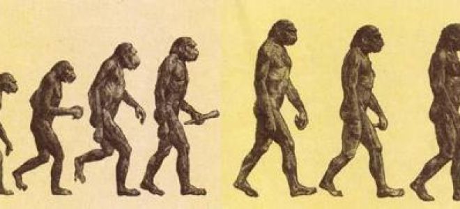 Ученые обнаружили признаки быстрого эволюционирования людей