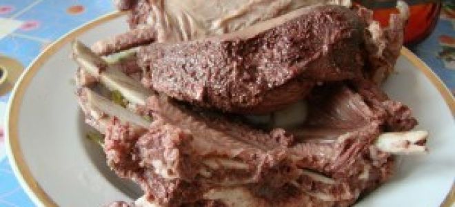Мясо лося: полезные свойства и вред
