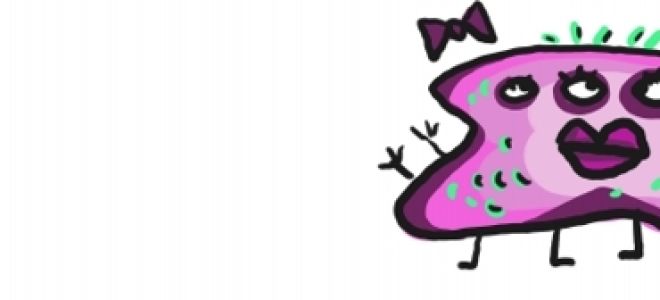 Бактерии спасут от килограммов