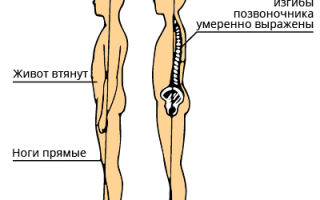 Упражнения для здоровой спины: урок пятый