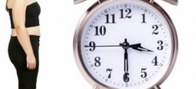 Ешь быстрее – станешь полнее