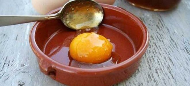 Что полезнее в яйце желток или белок?