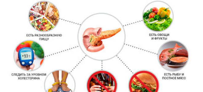 Кости, жир и поджелудочная железа зависят от движения