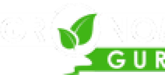 Польза и вред голубики для организма