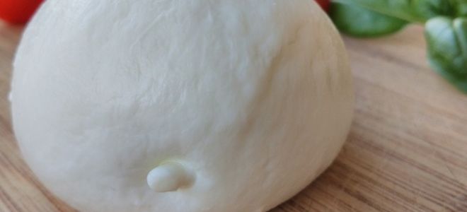 Какой сыр – самый полезный