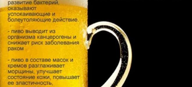 Пивные дрожжи: польза и вред