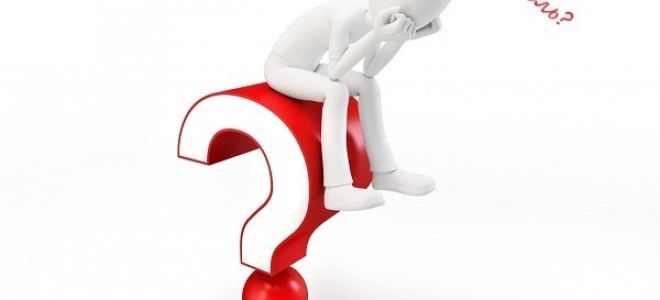 Что более вредно пить или курить?