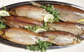Рыба сырок — польза и вред