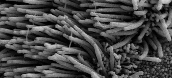 Чем вреден и полезен кальян для здоровья человека