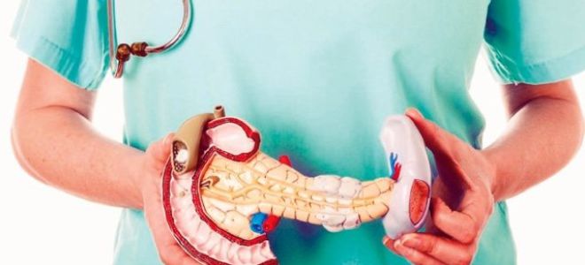 Профилактика заболеваний поджелудочной железы