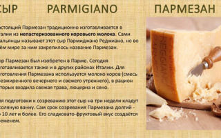 Польза и вред сыра пармезан