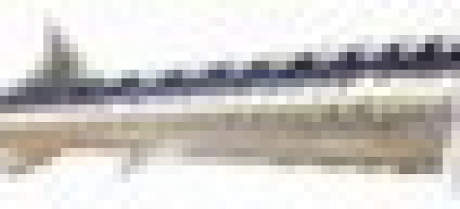 Польза и вред корюшки для организма