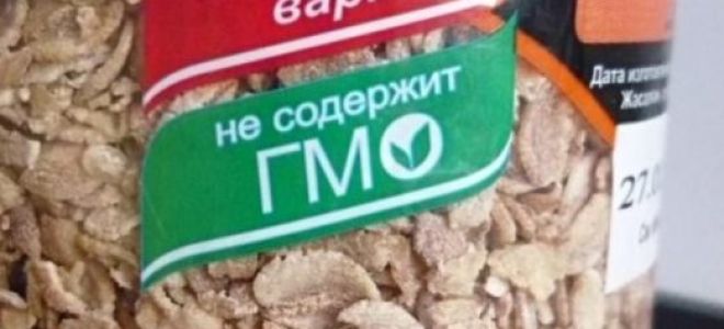 Ржаные хлопья — полезные свойства и вред