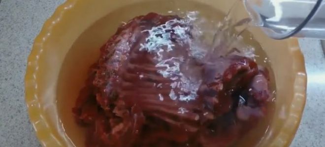 Мясо бобра: польза и вред для человека