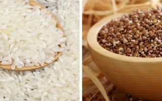Что полезнее для организма рис или пшено