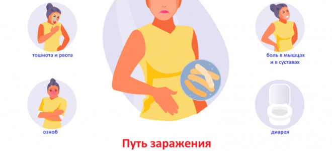 Не шутите с сальмонеллой!