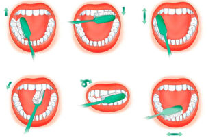 Чистим зубы правильно: пошаговая инструкция