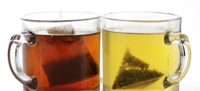 Чай в пакетиках: польза и возможный вред