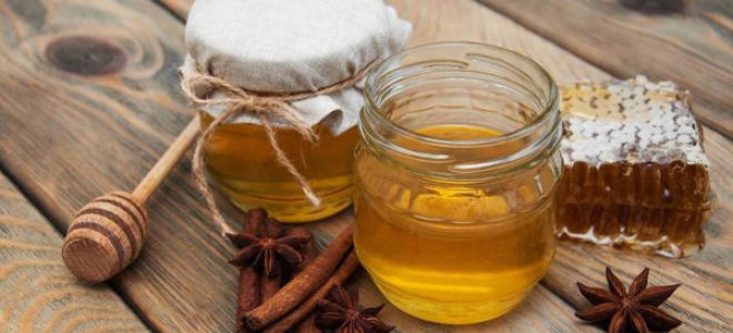 Мед с корицей: полезные свойства и возможный вред