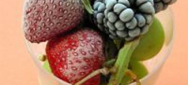 Замороженные ягоды: какая польза и и какой вред