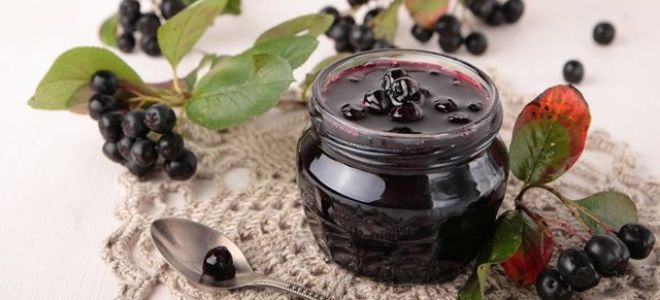 Польза и вред черной рябины для здоровья