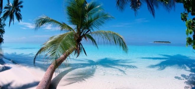 Идеи для активного отпуска: пляжные виды спорта