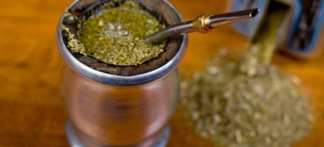 Зеленый чай — польза и вред для организма