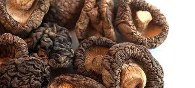 Грибы шиитаке — полезные свойства и вред