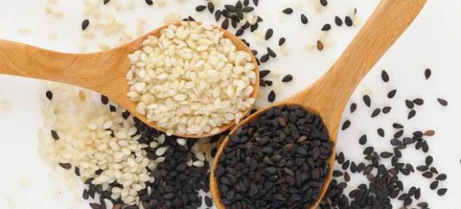 Кунжутные семечки: польза, вред как правильно принимать