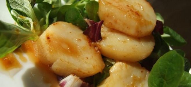 Морские гребешки — полезные свойства и вред