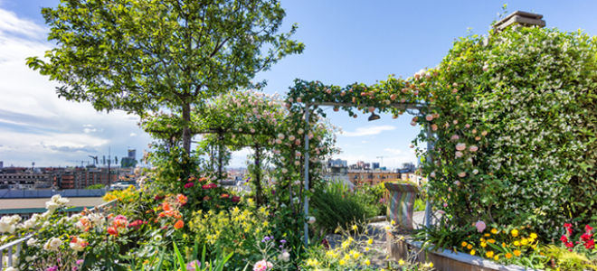 Психологи призывают активнее озеленять города