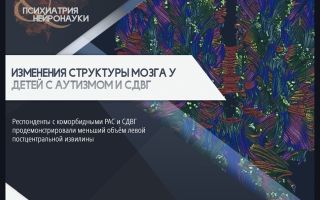 Анемия на ранних сроках беременности повышает риск возникновения у младенца аутизма, СДВГ и нарушения интеллекта